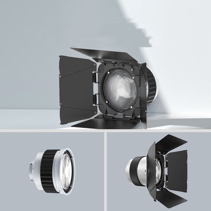 F20 Fresnel Lens Universal Bowen Mounts Studio Light Condenser for Photography Light 공급자